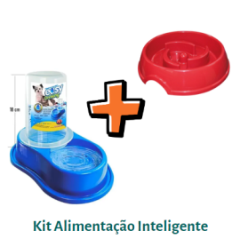 Kit Comedouro Educativo + Bebedouro Automtico